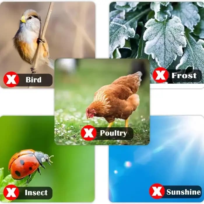 Couverture en filet anti-insectes pour arbres fruitiers