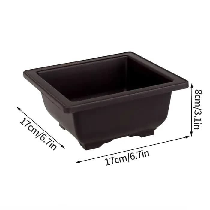 Pots de fleurs rectangulaires Imitation argile violette bonsaï
