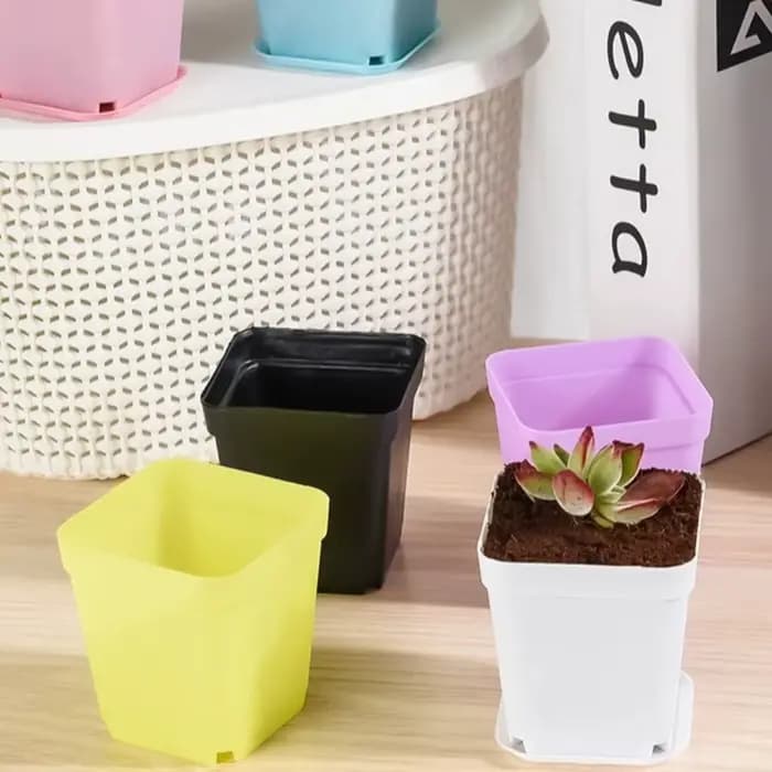 Mini pot de fleurs carré coloré pour le jardinage, petit pot succulent carré noir, 7x7cm, escalade d