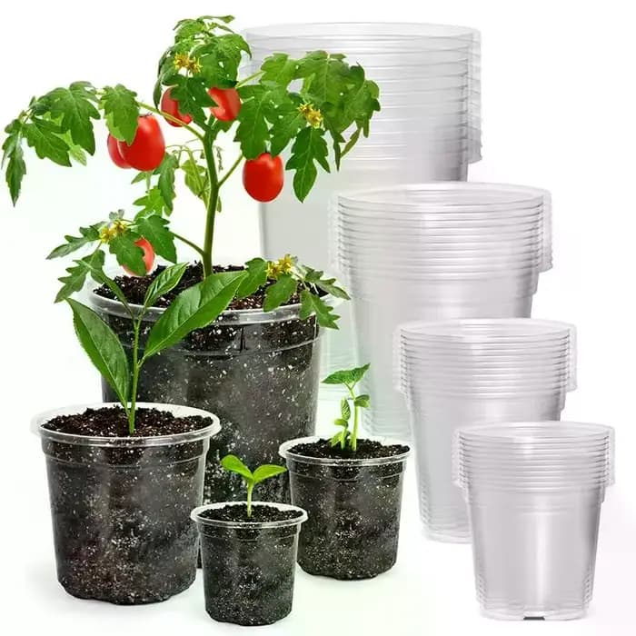 Pot de fleurs en plastique transparent avec trou de drainage