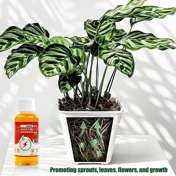Prospérer pour les plantes 50ml Nutrition liquide