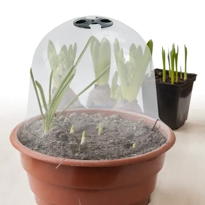 Couverture de protection des plantes réutilisable avec piquets métalliques, mini serre, couverture d
