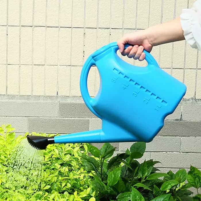 Arrosoir pour plantes d'intérieur et d'extérieur