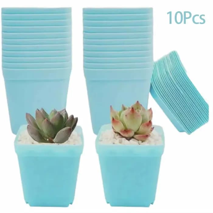 10 pièces jardinage Mini coloré Multi carré pépinière Pots de fleurs plantes vertes succulentes Pot de plante avec plateau décoration de la maison