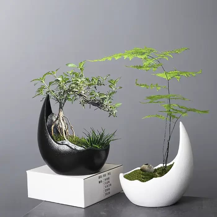 Pot de fleurs en céramique en forme de corne de rhinocéros