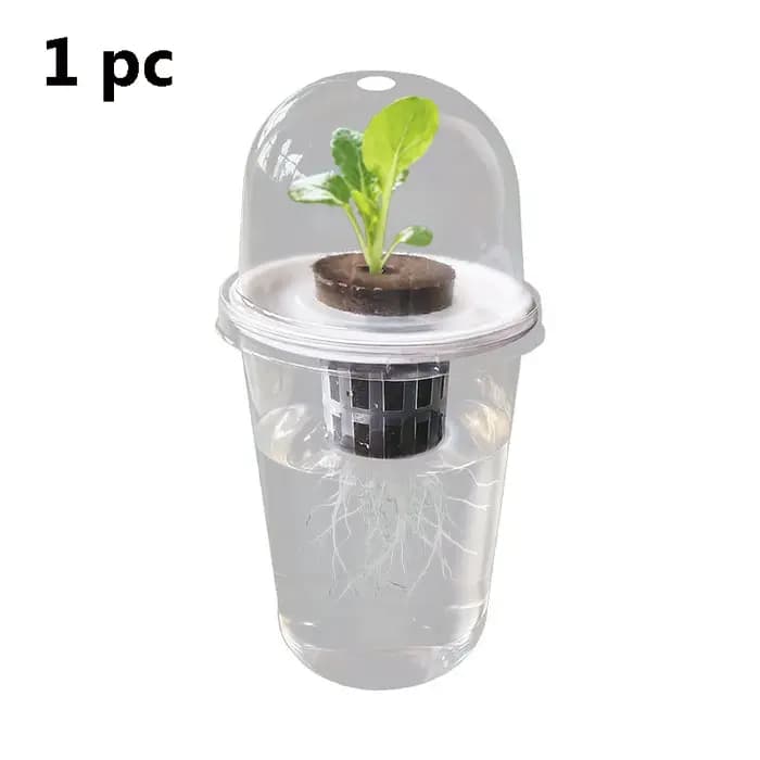 Pot hydroponique cylindrique Transparent en plastique