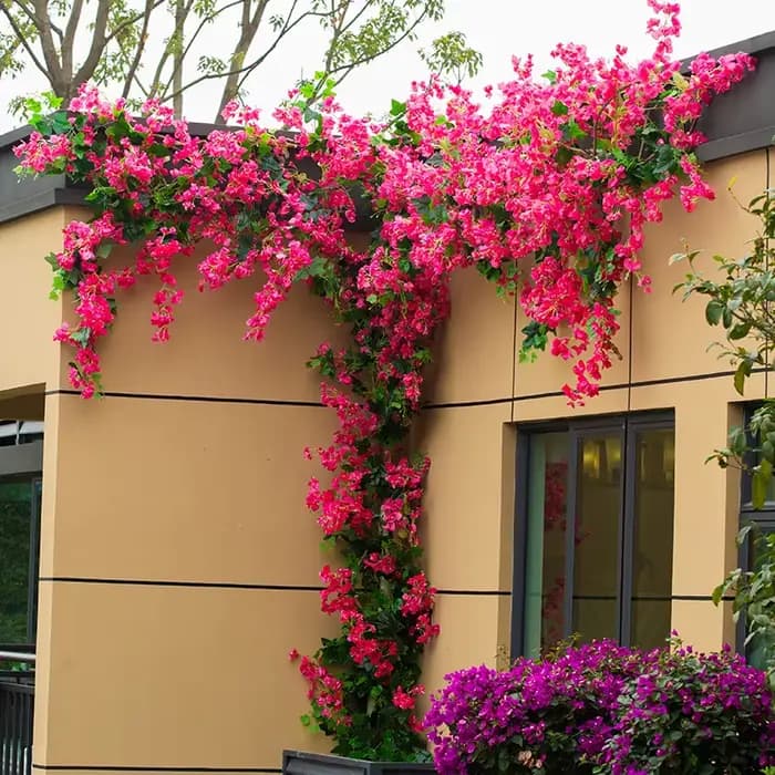 Ensemble d'arbres et de lianes artificiels Bougainvillea