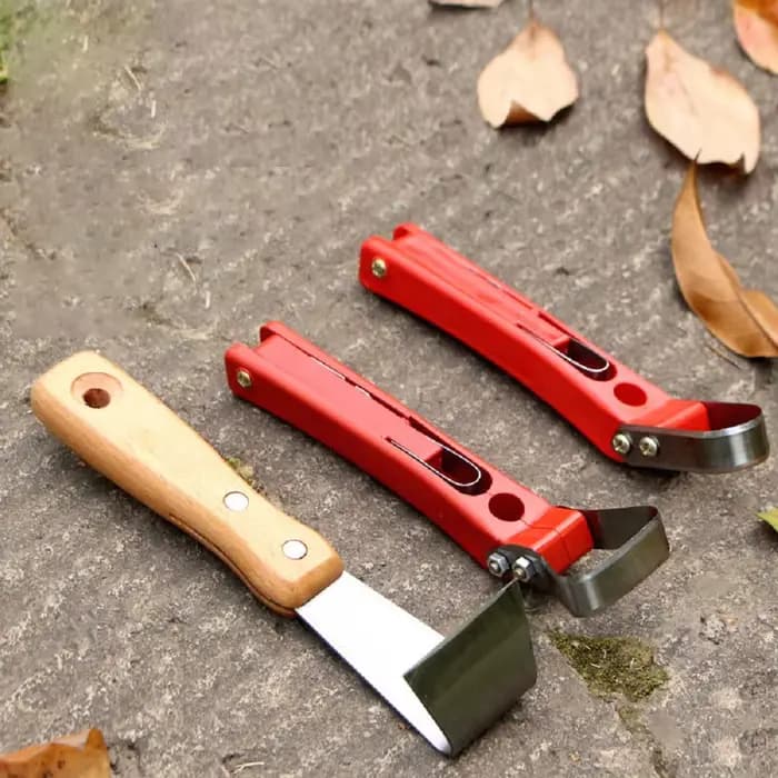 Couteau à écorce pour grattage d'arbres fruitiers
