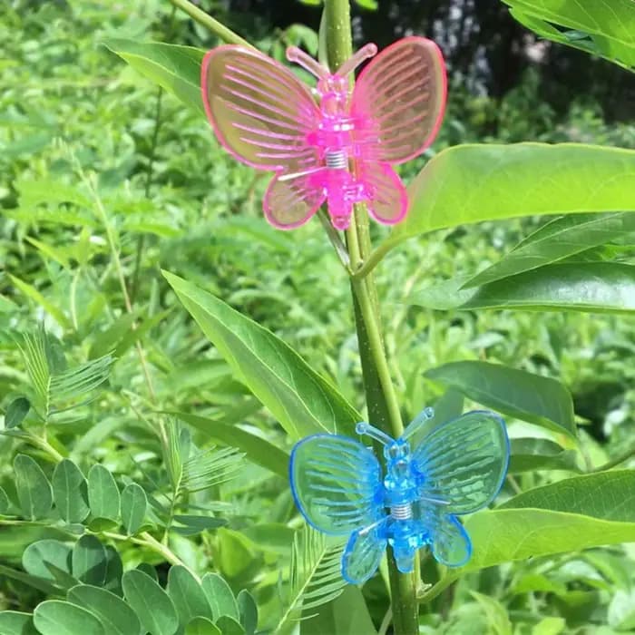 Pinces à orchidées colorées, 30 pièces, pinces papillon pour plantes de jardin, vigne grimpante, Sup