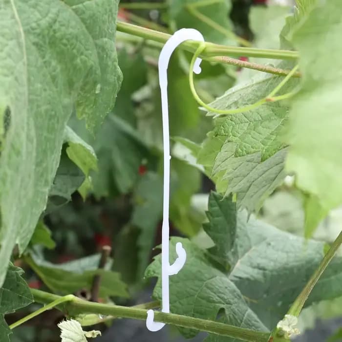 Support de plantes tomates, crochets en forme de J, plantes végétales réutilisables, treillis, vigne