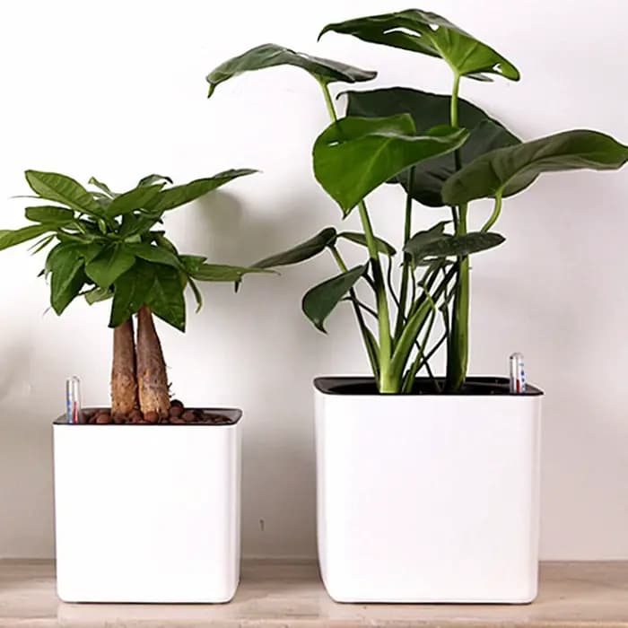 Jardinière à arrosage automatique, Pot de fleur blanc avec indicateur de niveau d'eau, jardinière à