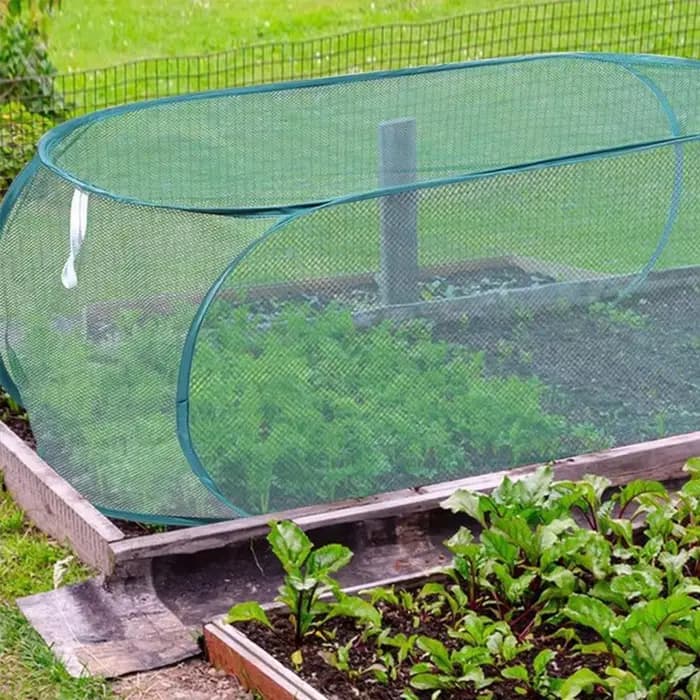 Couverture de protection pour plantes en maille pop-up