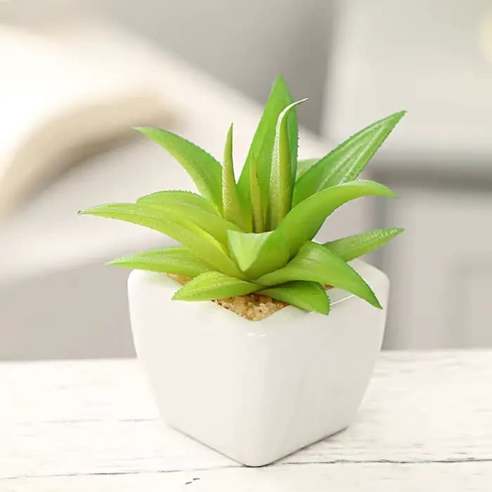 Plantes succulentes artificielles vertes, maison, jardin, chambre à coucher, balcon, Table de bureau, Mini bonsaï, décoration de fête de mariage, fausses plantes