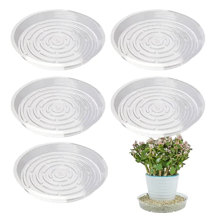 Plateau pour pot de plantes transparent 6/8/10 pouces