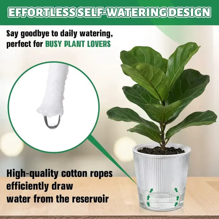 Pots auto-arrosants transparents pour plantes d'intérieur, pots auto-arrosants anti-putrescence pour