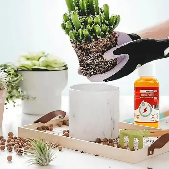Prospérer pour les plantes 50ml Nutrition liquide