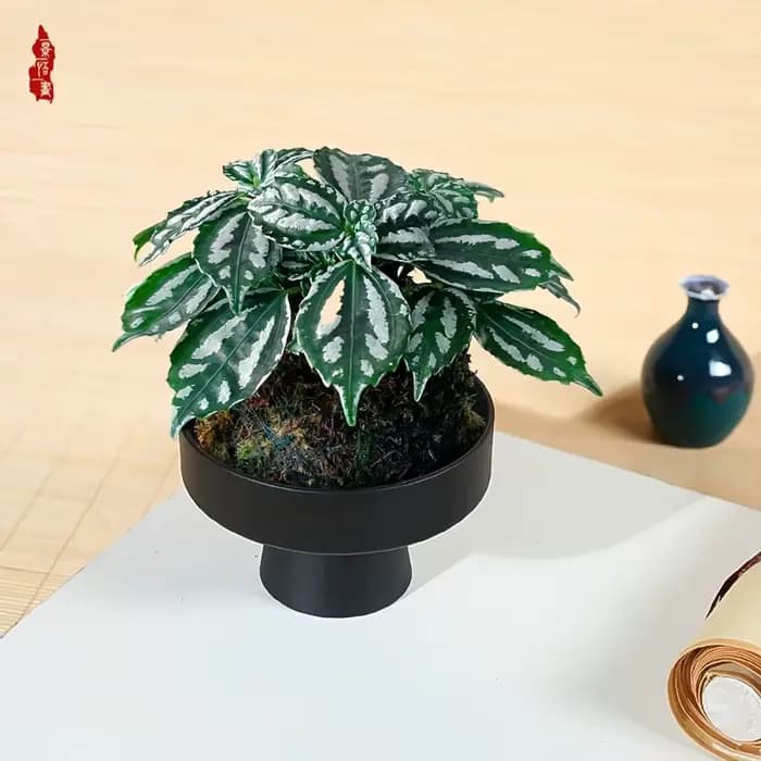 Pot de décoration de bureau imitation céramique