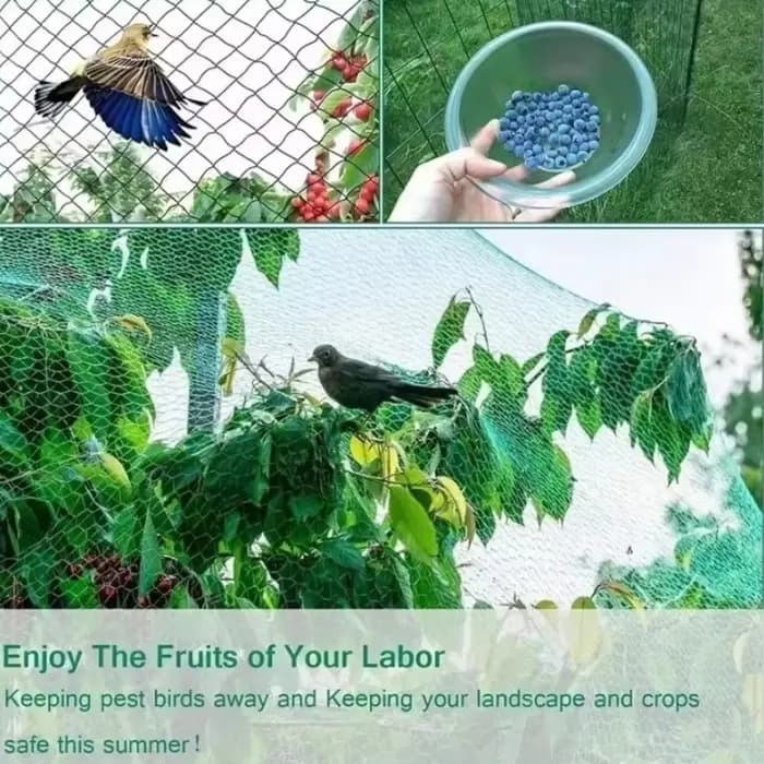 Filet de jardin vert en maille tissée pour protéger les plantes
