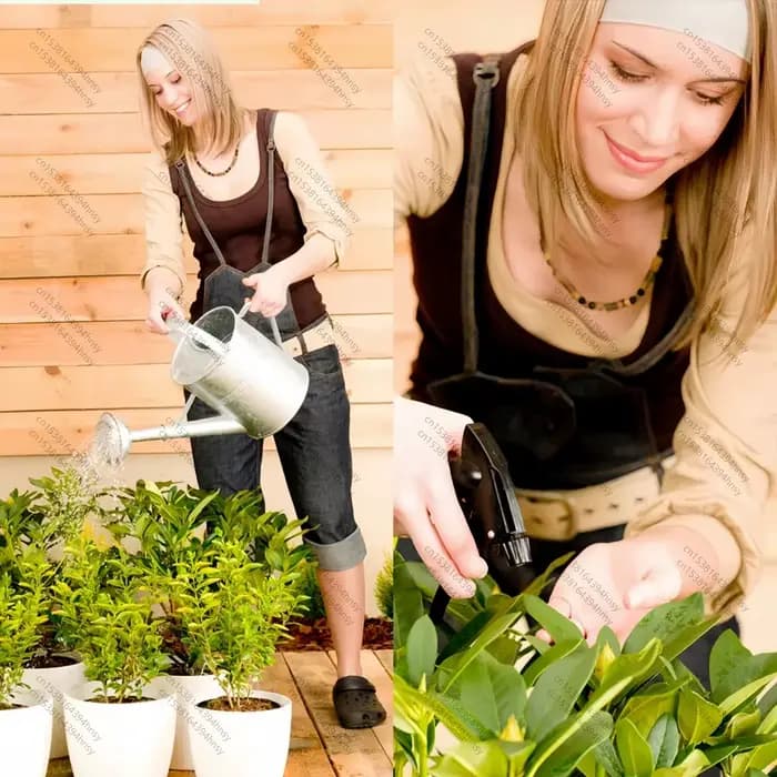 LOLO Brassinolide Naturelle 0.15% SP BR Régulateur de Cresissance des Plantes Homobrassinolide Brassinosteroïde