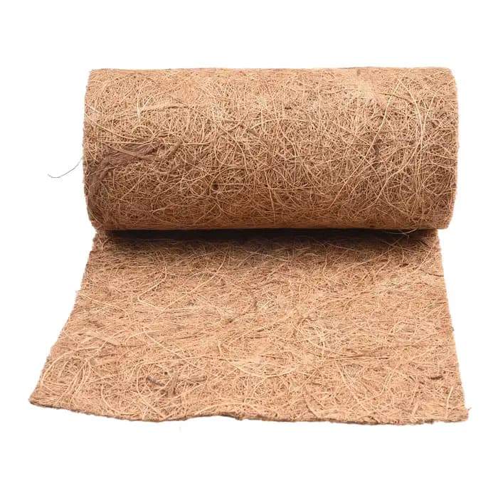 Tapis de sol en forme de cocotier, tapis de sol pour porte, en coco, doublure en Fiber de cocotier n