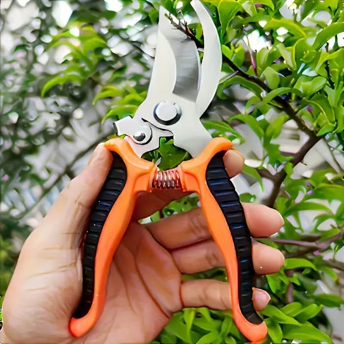 Cette cisaille de jardinage est super facile à utiliser ! Un bon assistant