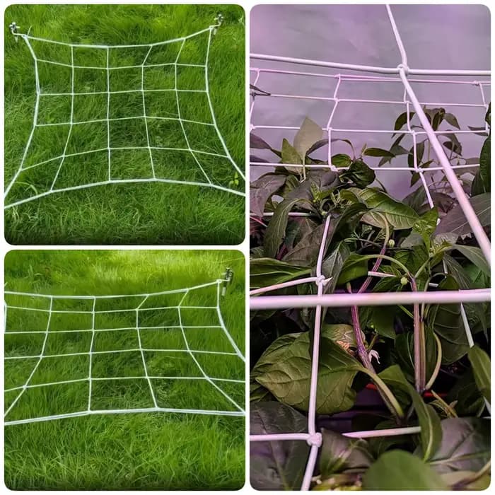 Filet de pressage de branche de tente de plante, lumière uniforme, réception, filet élastique, jardi