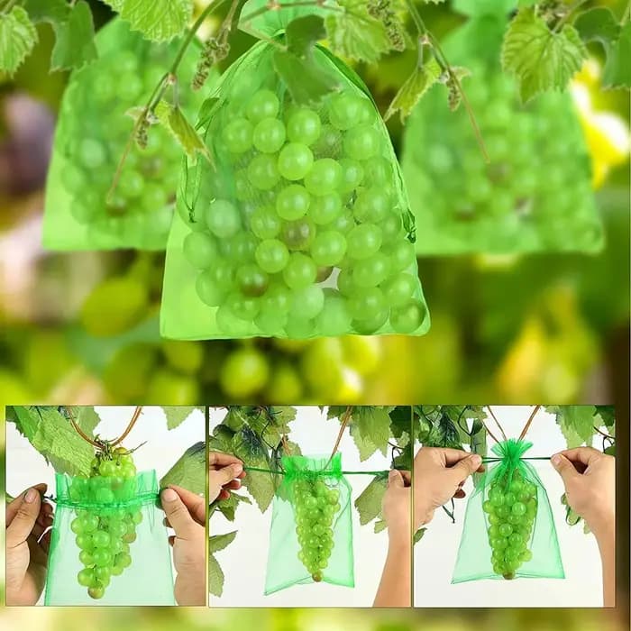 Sacs en filet de Protection des fruits avec cordon de serrage, sacs de culture de raisin réutilisabl