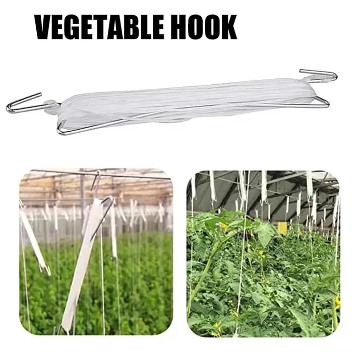 Crochets de Plantation de Tomates, Rouleau de Ficelle, Serre, Support de Légumes, Clips avec Corde d