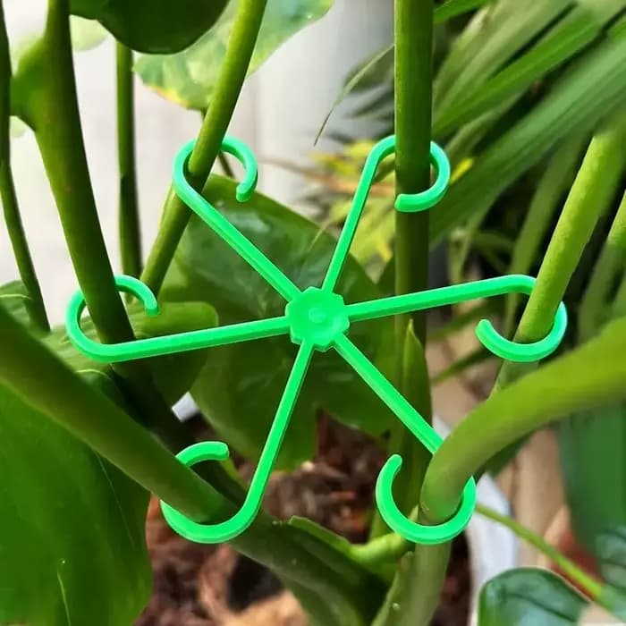 Piquets de Support de tige de plante de fleur, cadre de Support de plante d'intérieur grimpante, jar