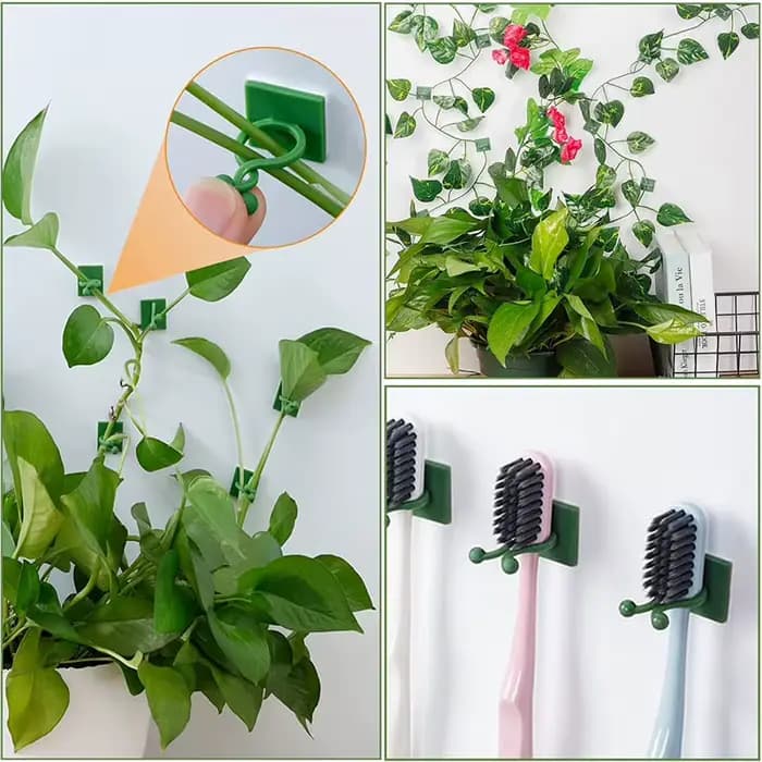 Clips de fixation murale pour plantes grimpantes, 10/30/50 pièces, fixateur de vigne en rotin, croch