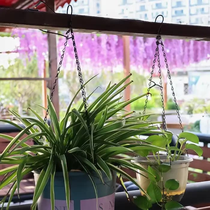 Chaîne de suspension réglable pour panier, pot de fleurs de jardin, cage à oiseaux, support de plant