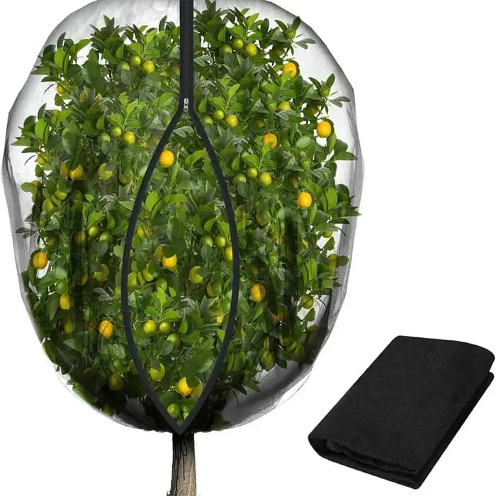 Couverture de filet pour arbres fruitiers