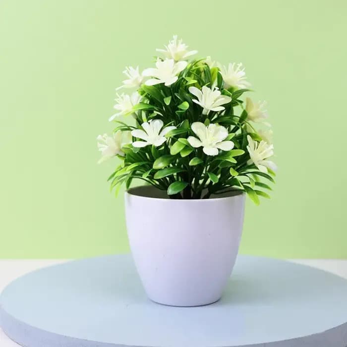 Ornements, plantes artificielles