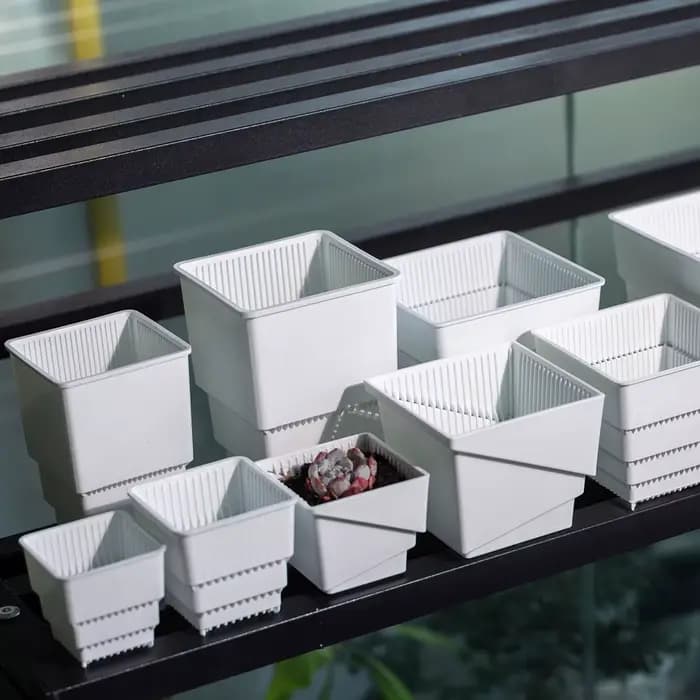 Pot de fleurs succulentes en plastique