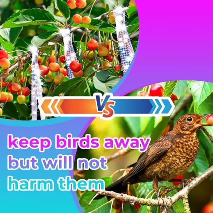 Ruban Réfléchissant Anti-Oiseaux, Bande Laser Anti-Oiseaux Double Face, Rubans Répulsifs pour Jardin