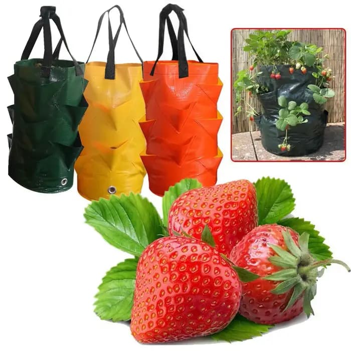 Sac de planteur de fleurs de pommes de terre, pot réutilisable, sacs pour légumes et fleurs, extérie