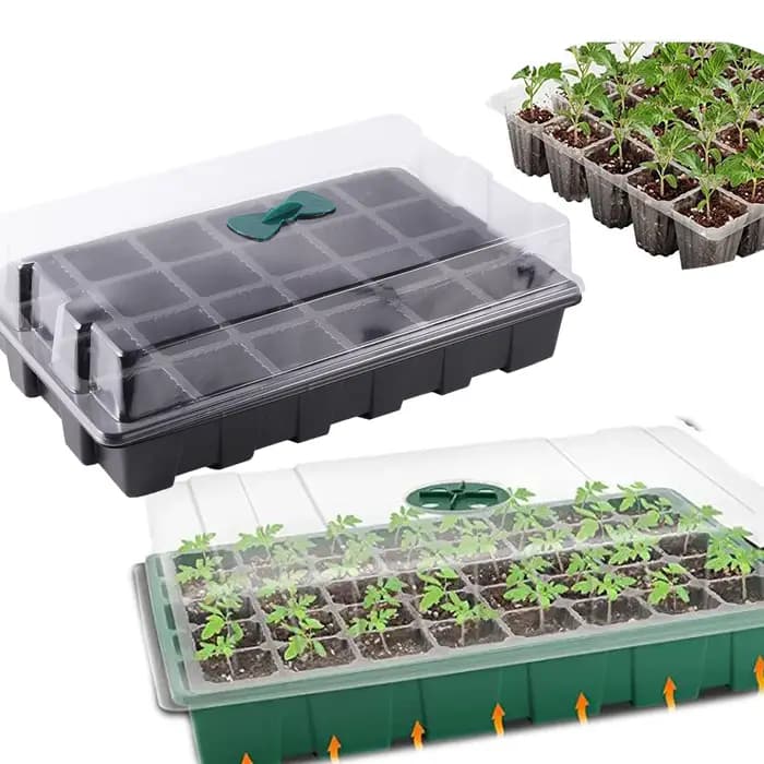 Escalade de semis 24 trous pour la germination de l'herbe de blé