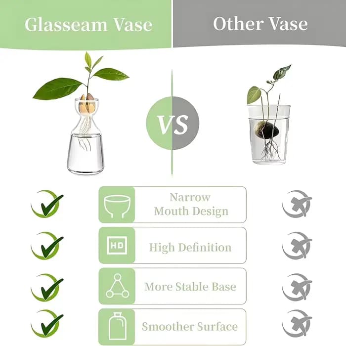 Kit de culture d'avocat - Vase de germination en verre pour les amateurs de jardinage