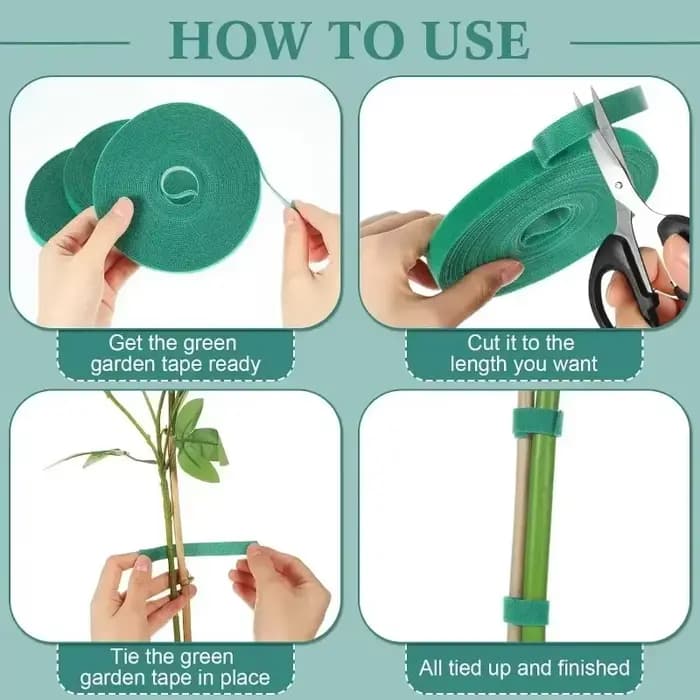 Bandes de ruban de fixation réutilisables pour plantes, auto-adhésif, câble en nylon vert, crochet r
