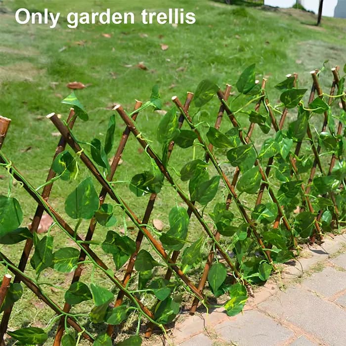Écran de confidentialité en treillis extensible pour jardin, clôture en bois, plantes grimpantes, Su
