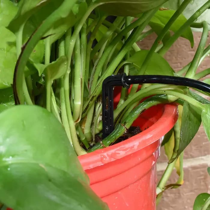 KESLA-Kit de système d'irrigation goutte à goutte pour serre, tuyau en PVC 8H, perforateur de jardin