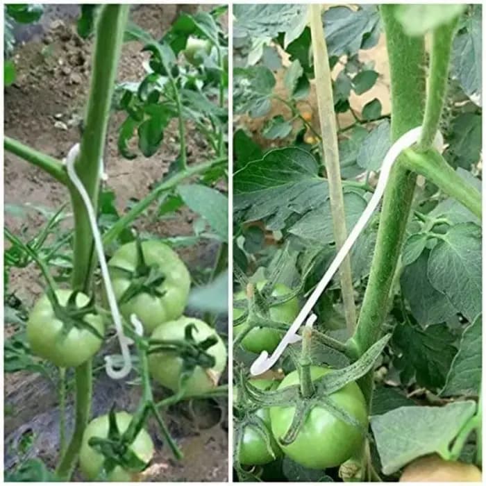 Crochet d'oreille en forme de J pour fruits, cerises, tomates, plantes végétales de jardin, Support