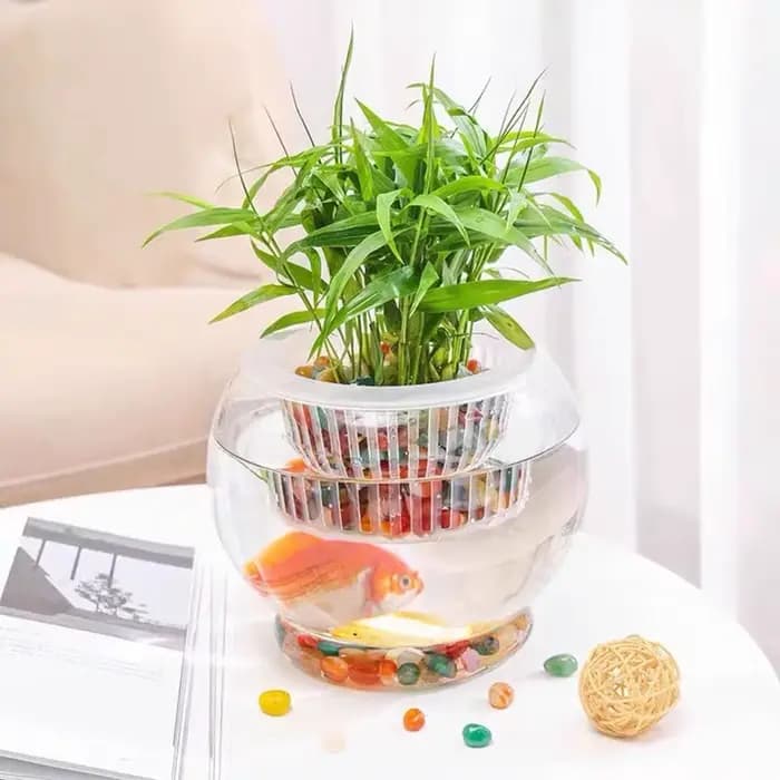 Nouveau pot de fleurs auto-arrosant pour plantes paresseuses