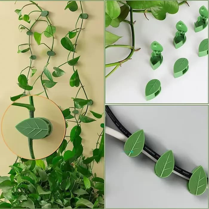 Clips de fixation murale pour plantes grimpantes, 10/30/50 pièces, fixateur de vigne en rotin, croch