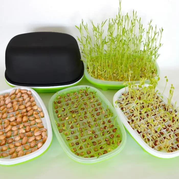 Plateau de germination de graines, boîte de germination d'arachide hydroponique de jardin, poire, haricots, germination d'herbe de chat, Pot de plantation sans sol