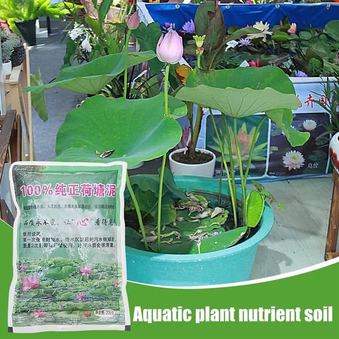 200g naturel Lotus étang boue jardin furtile aquatique bonsaï fleur sol nutritif pour bol spécial