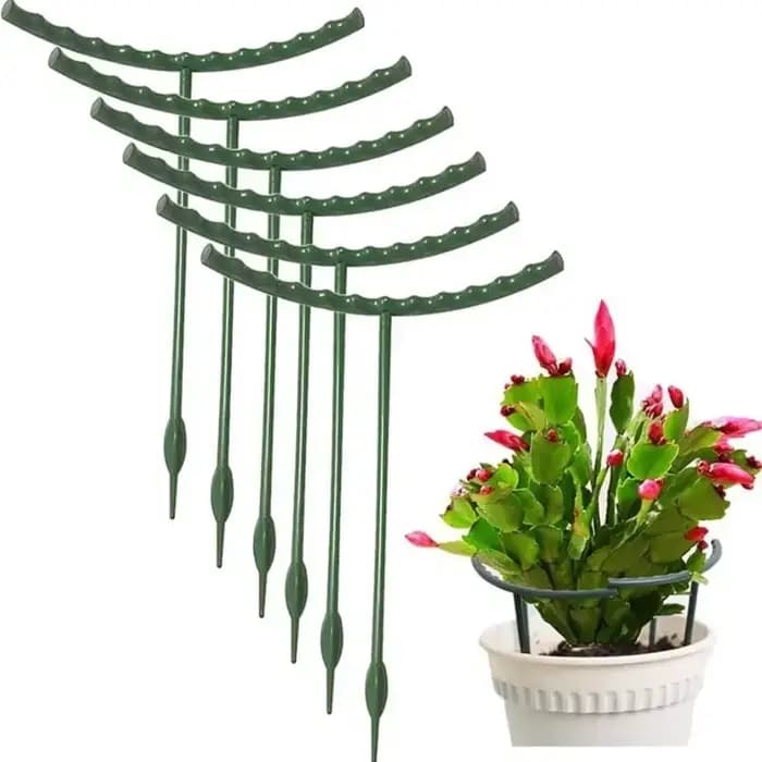 Anneau de Support pour plantes en plastique, Support de jardin pour verger, Support de Pile pour arr