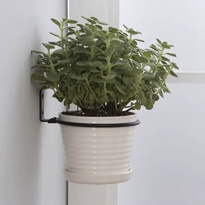 Anneau de support de Pot de fleur mural, facile à installer, crochet de plante en métal polyvalent, support de Pot de fleur pour décoration intérieure et extérieure