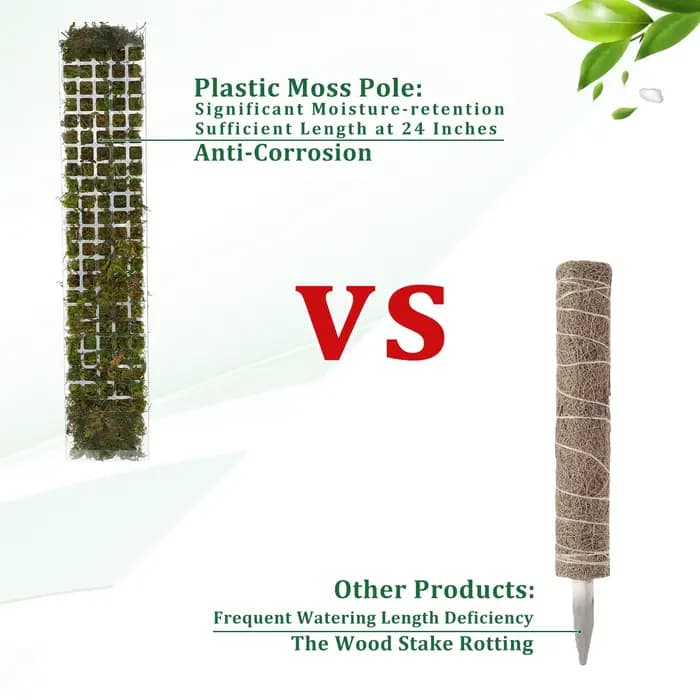 Support de plantes en plastique, poteau de mousse, plantes grimpantes d'intérieur, Tutors garantis,