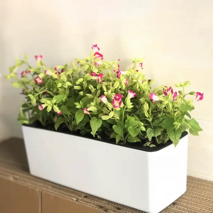 Pot de fleur à arrosage automatique avec indicateur de niveau d'eau